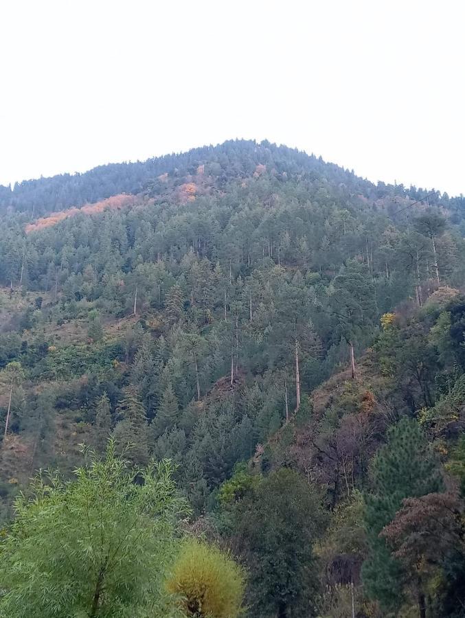 Rrr Resorts Tirthan Valley By Rrr Hotels & Resorts Banjar Luaran gambar
